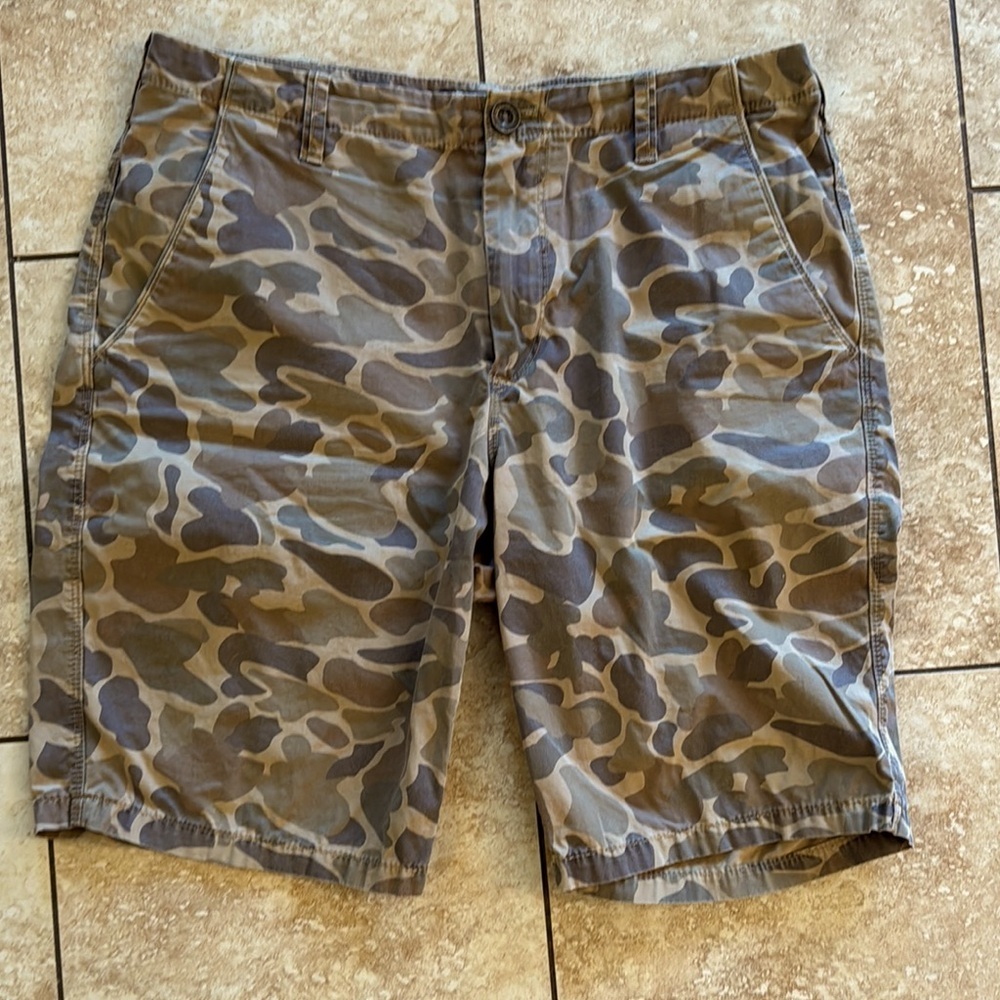 Express Brown and Green Cargo Shorts
